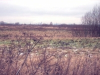 /photos/93853.jpg?w=640&h=480