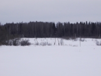 /photos/95156.jpg?w=640&h=480