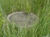 /photos/95566.jpg?w=640&h=480