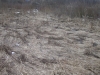 /photos/95726.jpg?w=640&h=480