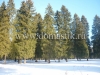 /photos/96135.jpg?w=640&h=480
