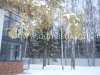 /photos/96304.jpg?w=640&h=480