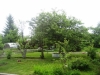 /photos/97707.jpg?w=640&h=480