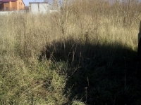 /photos/98170.jpg?w=640&h=480