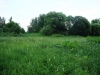 /photos/98814.jpg?w=640&h=480