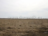/photos/99597.jpg?w=640&h=480