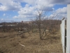 /photos/99752.jpg?w=640&h=480